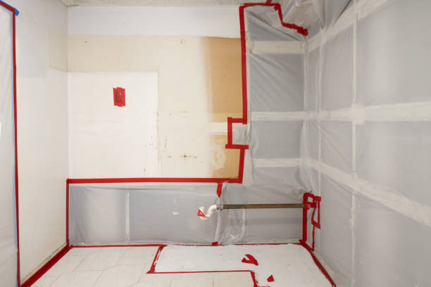 Reliable Mesilla, NM Mold Removal Solutions