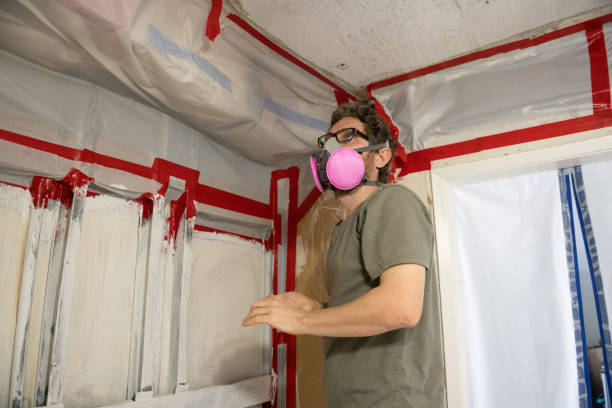 Best Water Damage & Mold Remediation  in Mesilla, NM