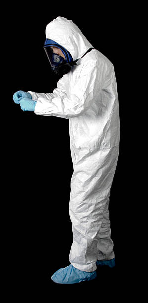 Best Mold Damage Restoration  in Mesilla, NM