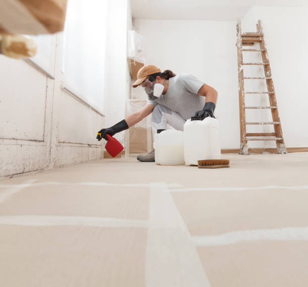 Best Forensic Mold Investigation  in Mesilla, NM